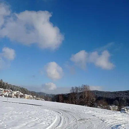Am Bach Im Bayerischen Wald Apartman