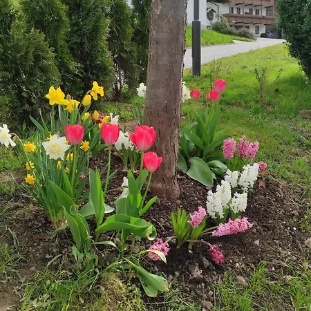 Am Bach Im Bayerischen Wald Апартаменты