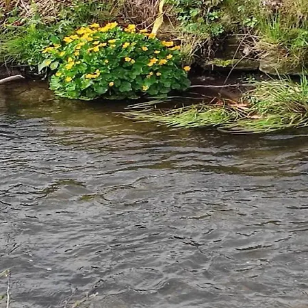 Am Bach Im Bayerischen Wald * Акслах