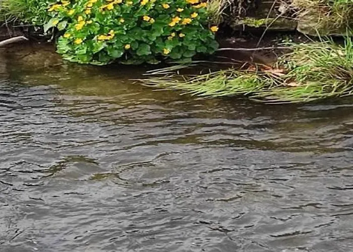 Am Bach * Achslach