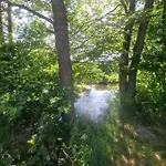 Apartament Am Bach Im Bayerischen Wald *