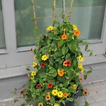 Am Bach Im Bayerischen Wald Apartament