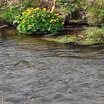 Am Bach Im Bayerischen Wald * Achslach
