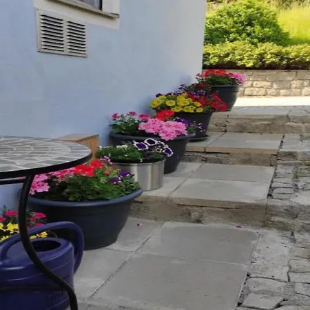 Am Bach Apartmán *