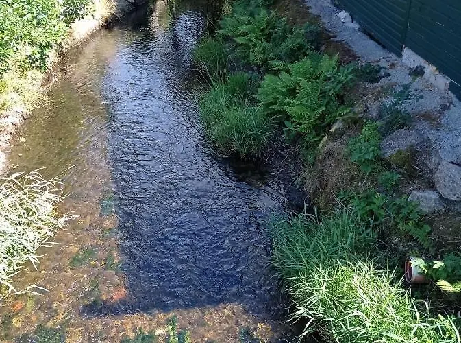 דירה Am Bach *